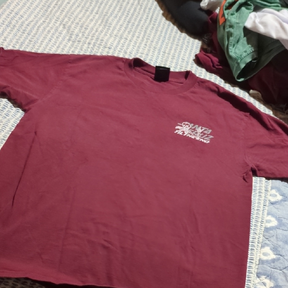 Santa Cruz Skateboard Graphic T-shirt
